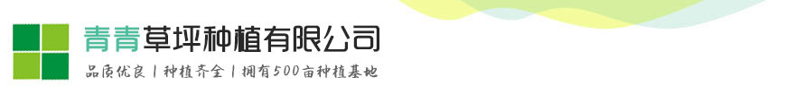 尊龙人生就是博!官方平台,尊龙凯时人生是搏